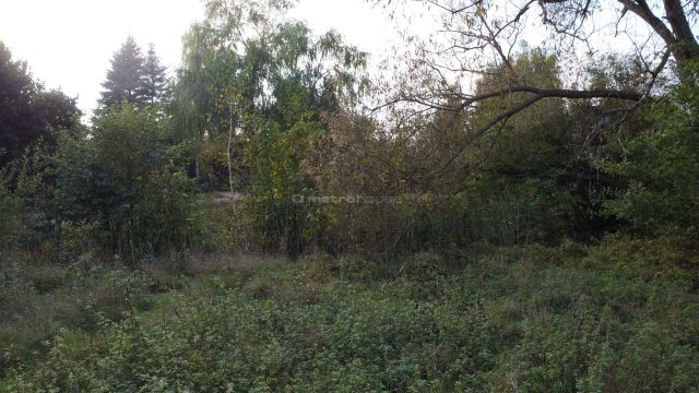 Działka rekreacyjna Popowo-Parcele. Zdjęcie 7