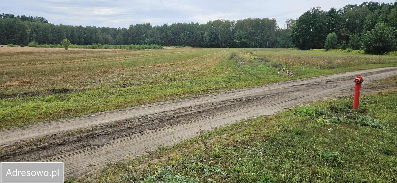 Działka budowlana Nowa Pogorzel, ul. Długa. Zdjęcie 2