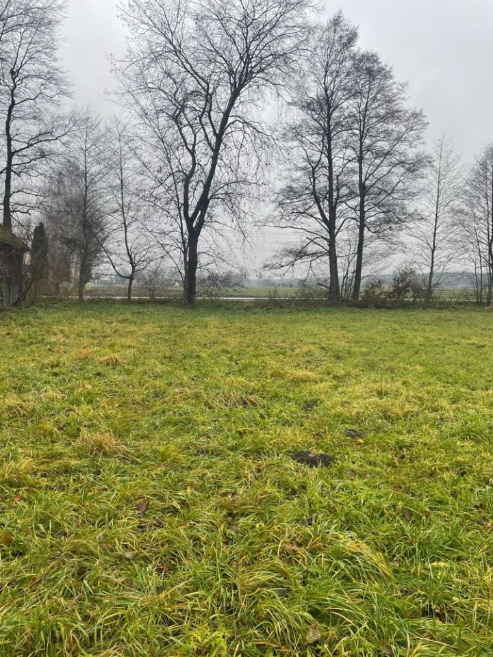 Działka budowlana Grodzisko. Zdjęcie 5