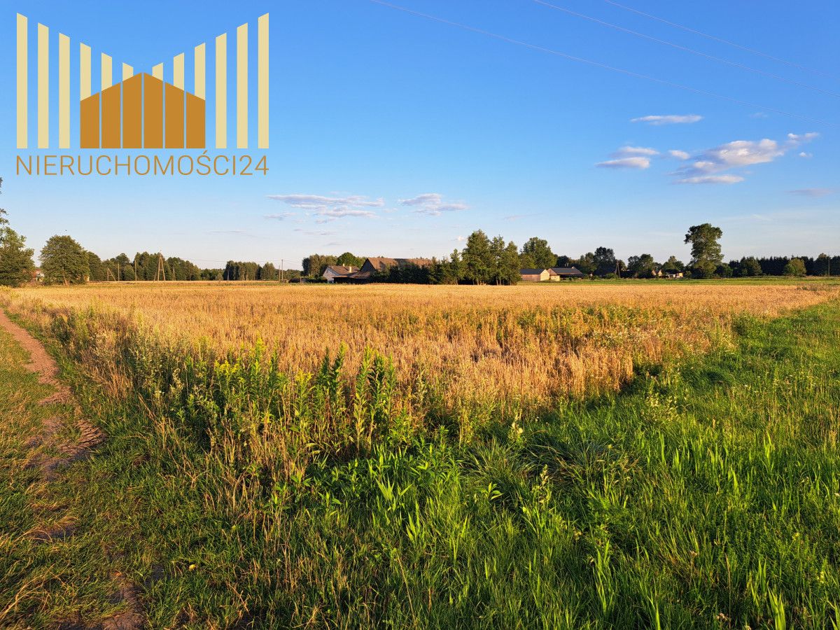 Działka rolna Borki. Zdjęcie 6