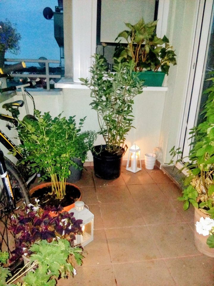 Mieszkanie 2-pokojowe Wrocław Psie Pole, ul. Litewska. Zdjęcie 16