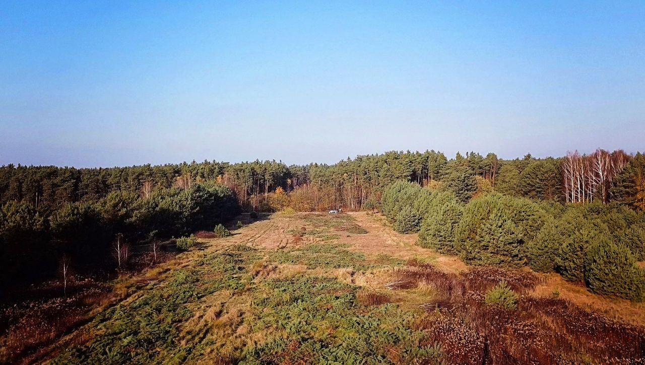 Działka rolno-budowlana Górki. Zdjęcie 2