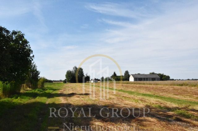 Działka siedliskowa Siedliska. Zdjęcie 1