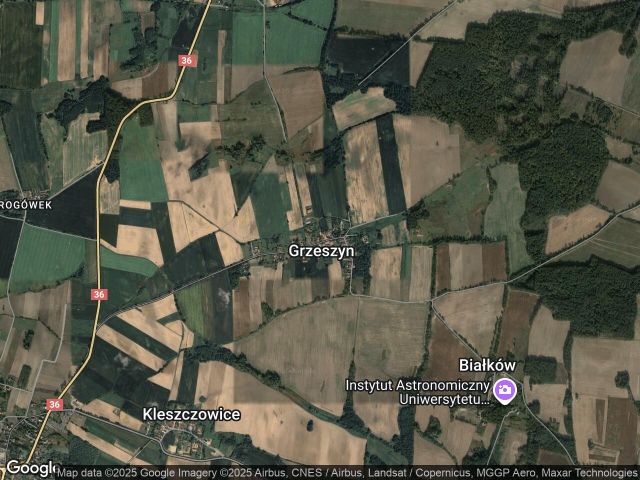 Działka rolna Grzeszyn. Zdjęcie 1