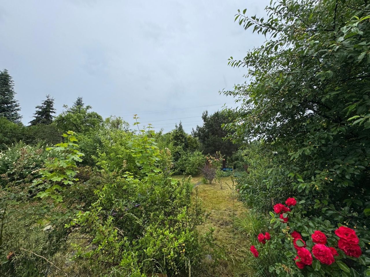 Działka rod Wrocław Krzyki. Zdjęcie 8