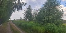 Działka rolna Popielżyn Górny