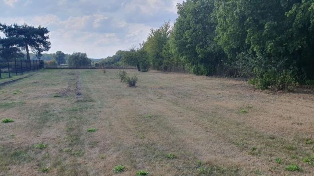 dom wolnostojący, 6 pokoi Prażmów. Zdjęcie 2