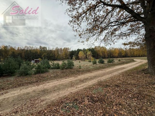 Działka rolno-budowlana Choinek. Zdjęcie 2