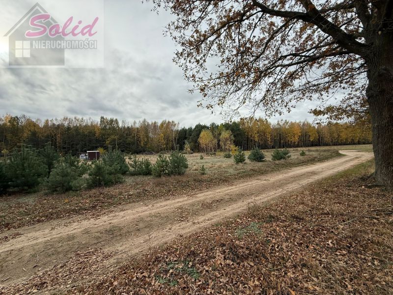 Działka rolno-budowlana Choinek. Zdjęcie 2