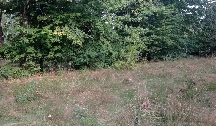 Działka budowlana Wola Prażmowska, ul. Północna