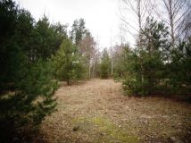 Działka budowlana Stare Polesie. Zdjęcie 3