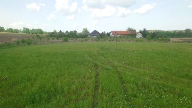 Działka rolna Muntowo. Zdjęcie 1