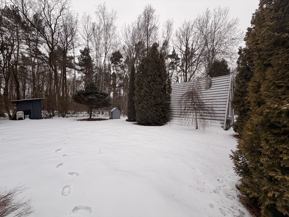 Działka rod Prażmów. Zdjęcie 1