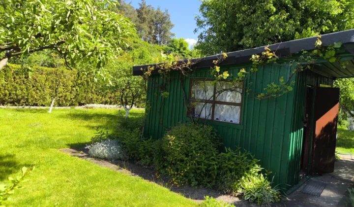 Działka rod Konin, ul. Staromorzysławska