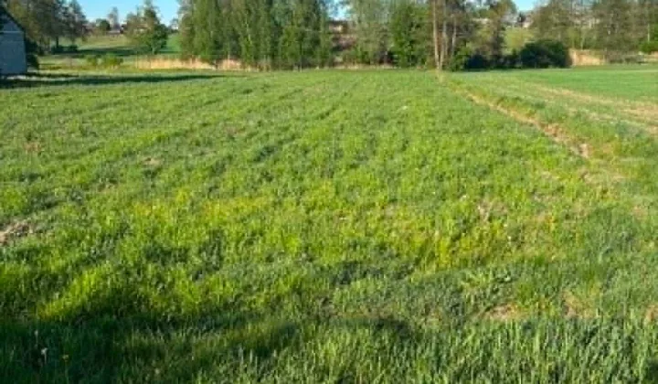 Działka budowlana Szwelice