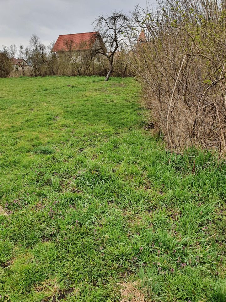 Działka budowlana Czerlejno, ul. Kostrzyńska. Zdjęcie 2