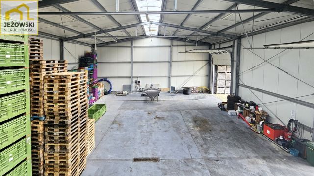 Hala/magazyn Wojciechów. Zdjęcie 15