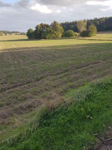 Działka rolna Zalesie. Zdjęcie 1