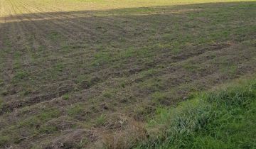 Działka rolna Zalesie