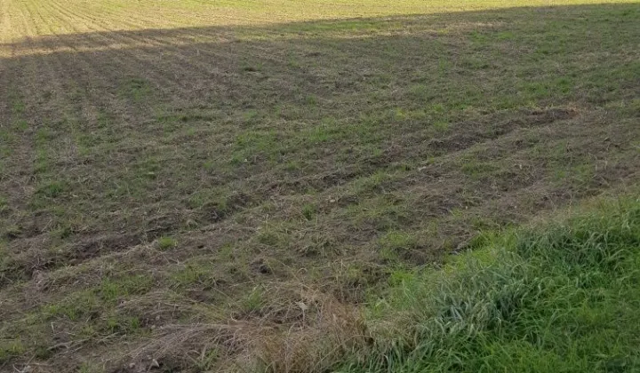 Działka rolna Zalesie