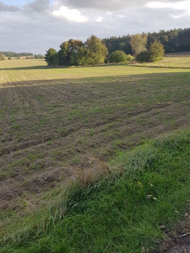 Działka rolna Zalesie