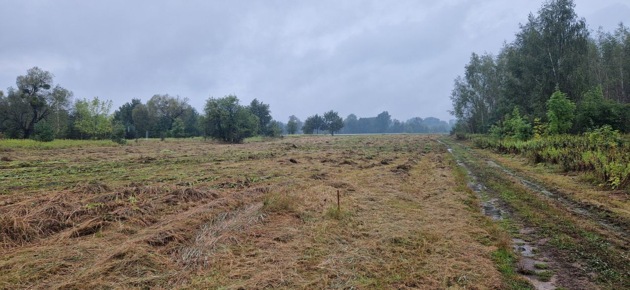 Działka rolno-budowlana Secymin Polski. Zdjęcie 5