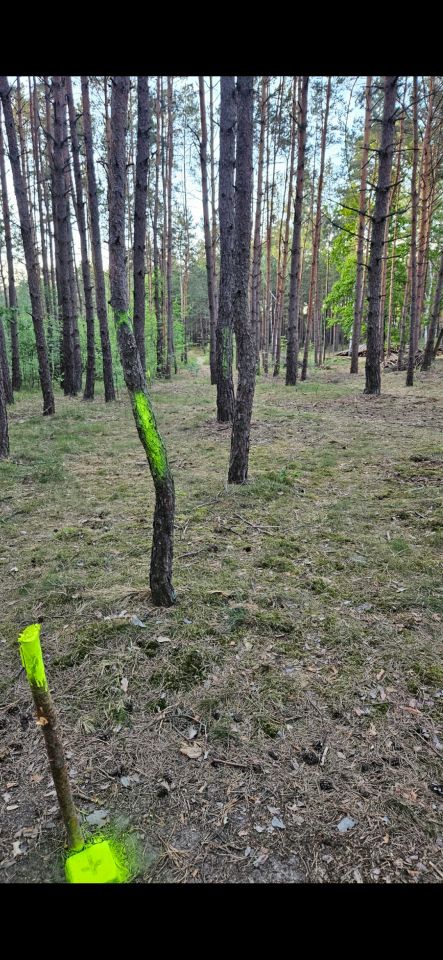 Działka budowlana Solec Kujawski, ul. Garbary. Zdjęcie 3