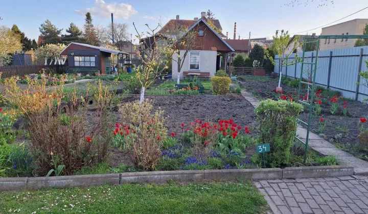 Działka rod Racibórz, ul. Szkolna