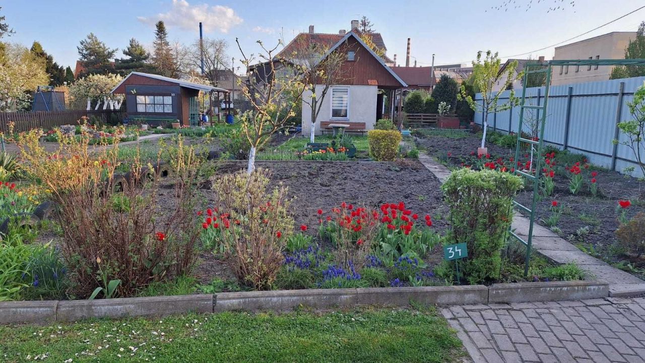 Działka rod Racibórz, ul. Szkolna. Zdjęcie 1