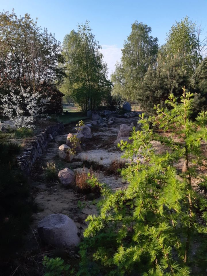 Działka budowlana Podbiel Krupińskie, Sosnowa. Zdjęcie 31