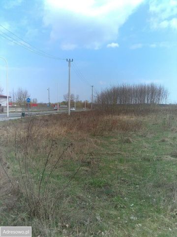 Działka budowlana Bielino, ul. Nadrzeczna. Zdjęcie 1