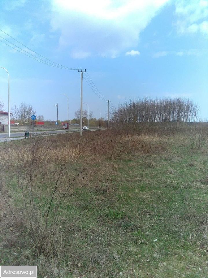 Działka budowlana Bielino, ul. Nadrzeczna. Zdjęcie 1