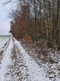 Działka Bukówno Śliwiny. Zdjęcie 3