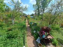 Działka rod Gorzów Wielkopolski, ul. Drozdowa. Zdjęcie 3