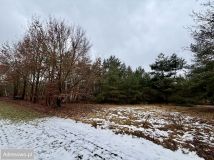 Działka rekreacyjna Mniszki A. Zdjęcie 1