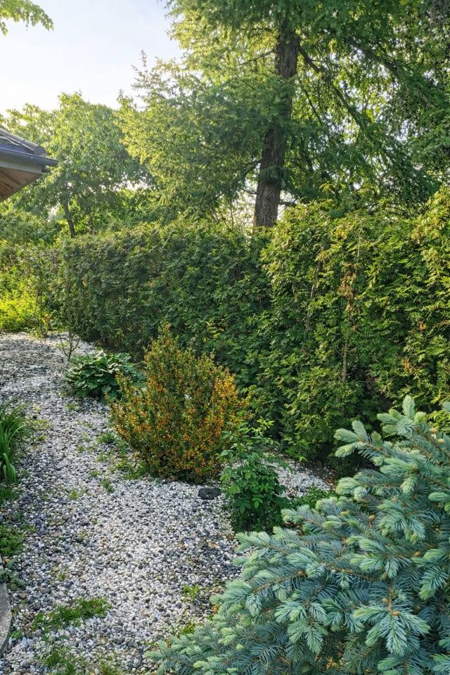 dom wolnostojący, 6 pokoi Gostynin, ul. Mikołaja Reja. Zdjęcie 5