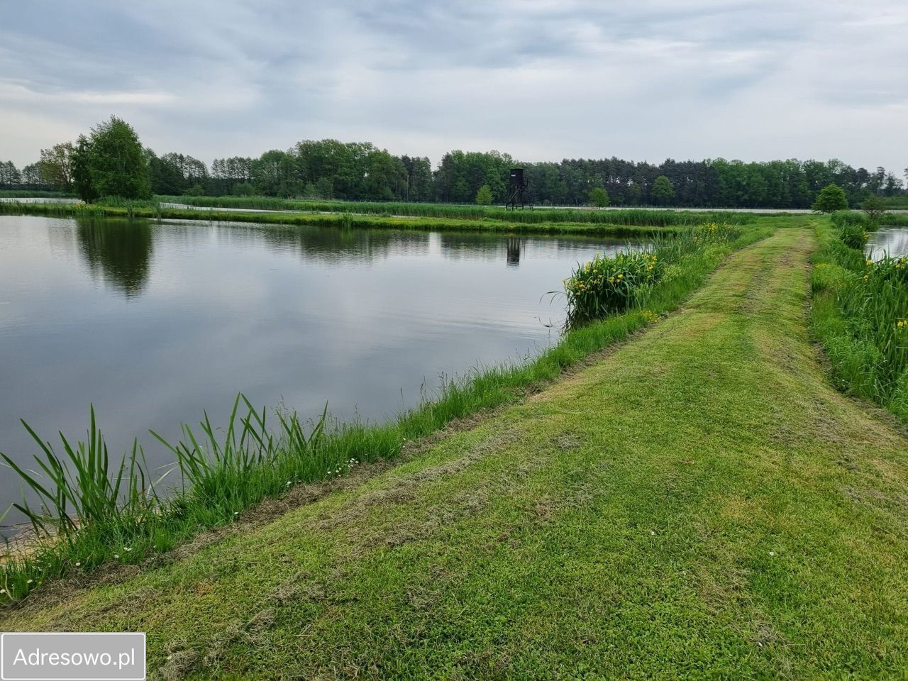 Działka rolno-budowlana Torzeniec. Zdjęcie 14