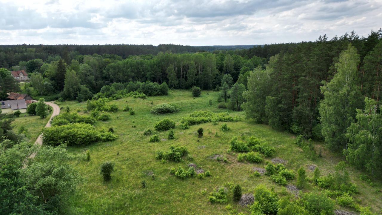 Działka rolno-budowlana Krawno. Zdjęcie 5