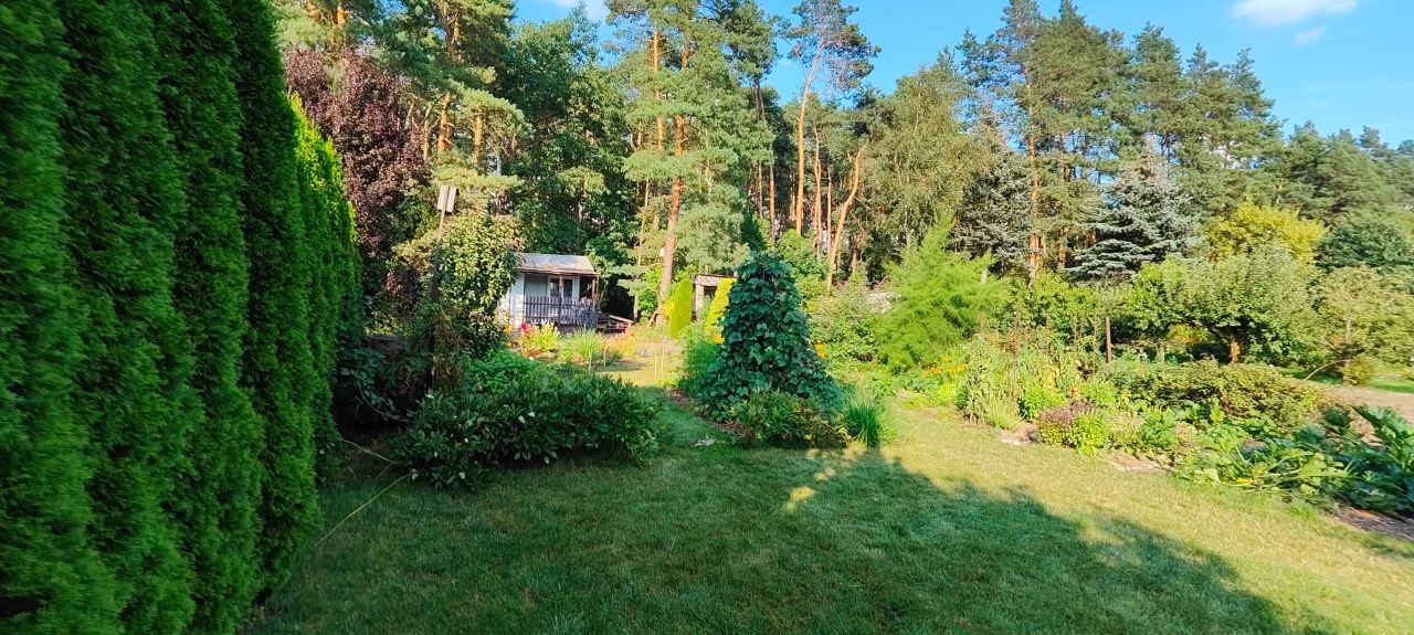 Działka rod Toruń. Zdjęcie 7