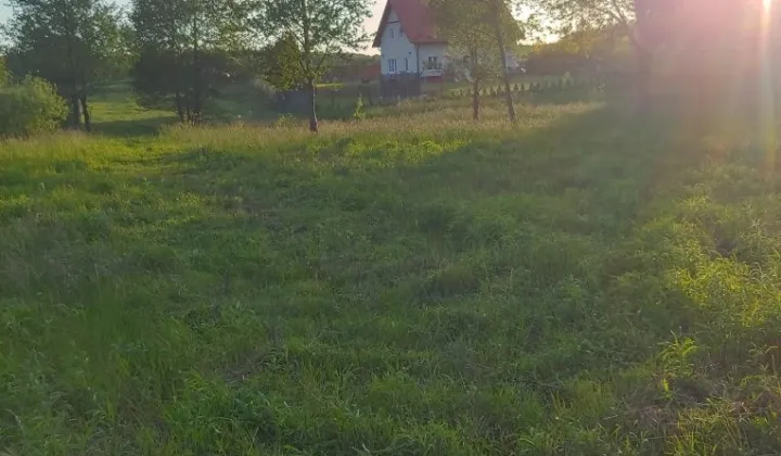 Działka budowlana Dąbrówno, ul. Polna