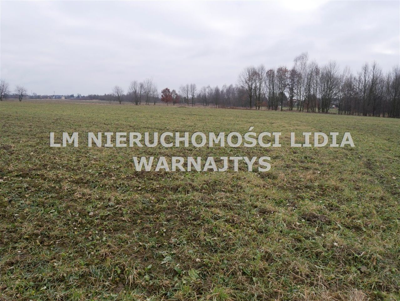 Działka Czerwionka-Leszczyny Leszczyny, ul. Żorska. Zdjęcie 1