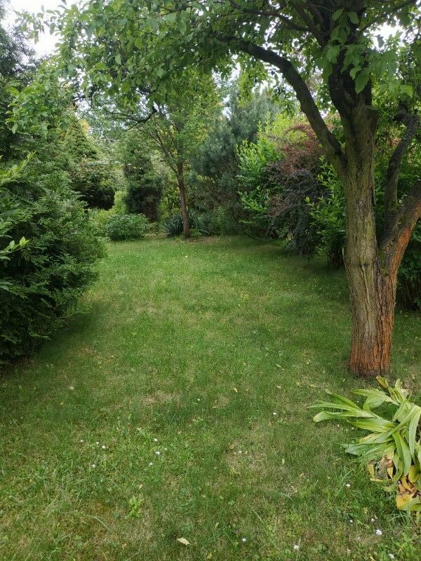 Działka rod Warszawa Mokotów, ul. Wawelska. Zdjęcie 5