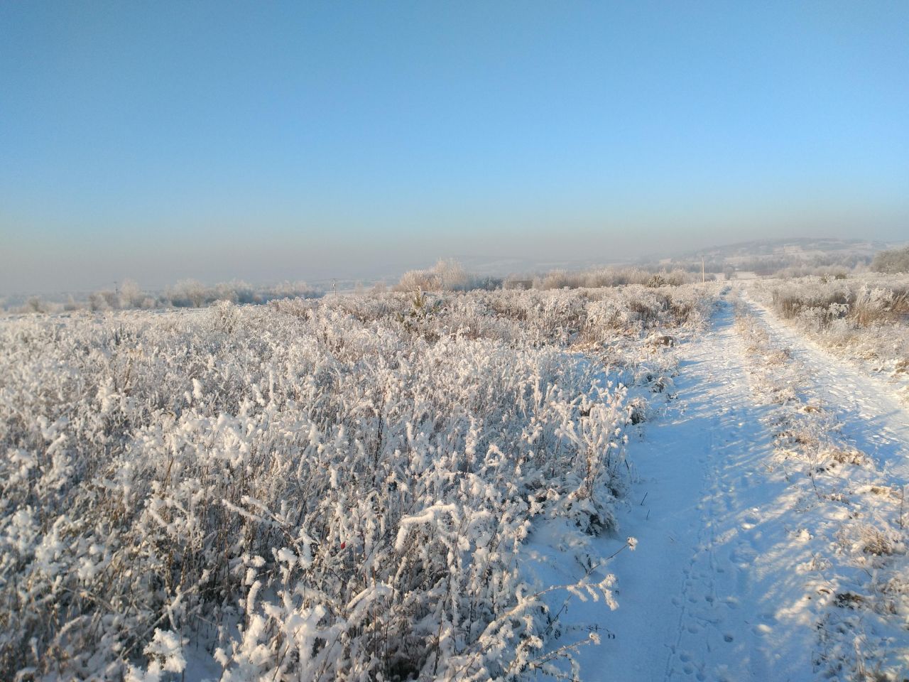 Działka budowlana Górno. Zdjęcie 2