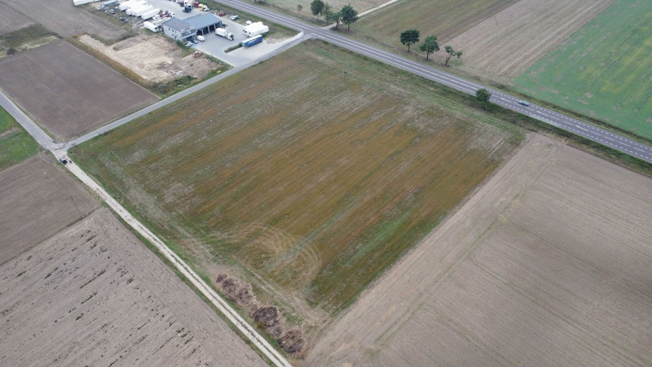 Działka Zaścianki. Zdjęcie 3