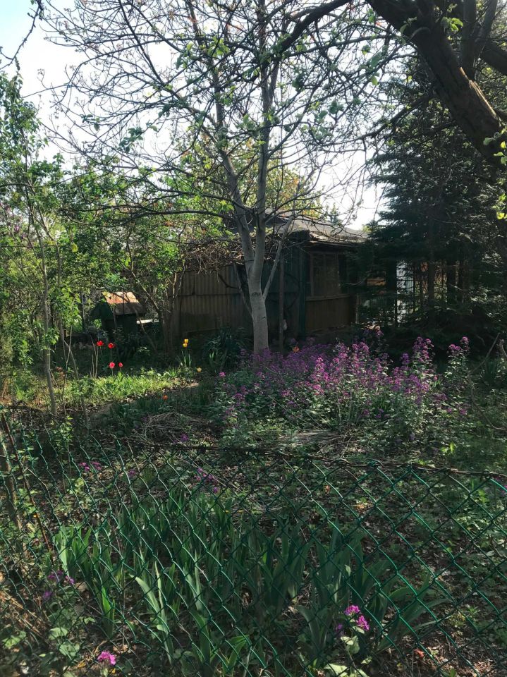 Działka rod Warszawa Włochy. Zdjęcie 3