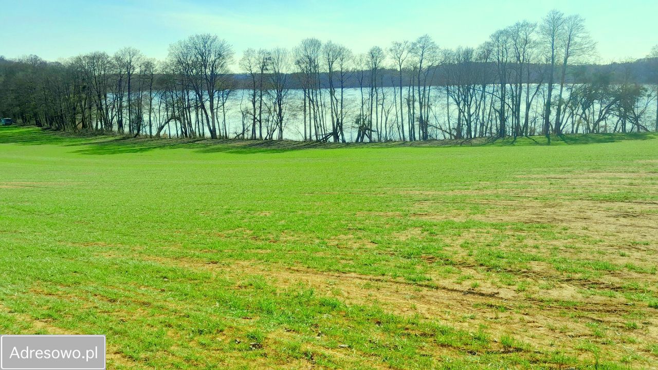 Działka siedliskowa Sieraków. Zdjęcie 14