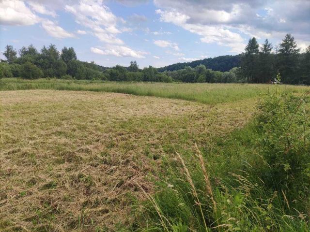 Działka Sanok Olchowce. Zdjęcie 3