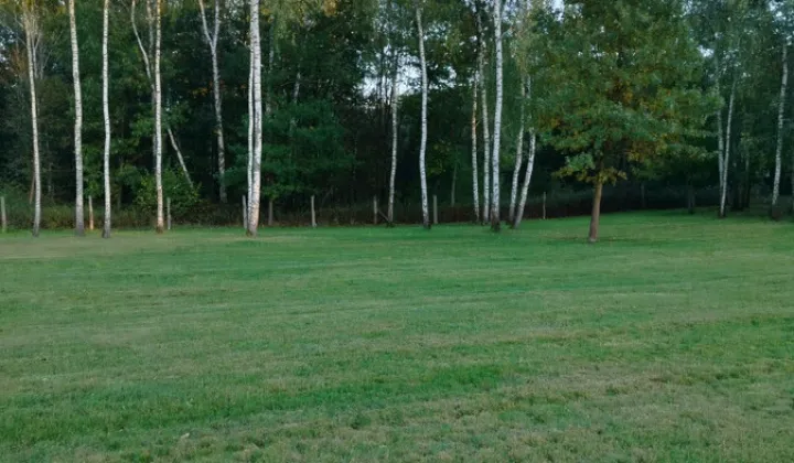 Działka budowlana Pyskowice Dzierżno, ul. Wiejska