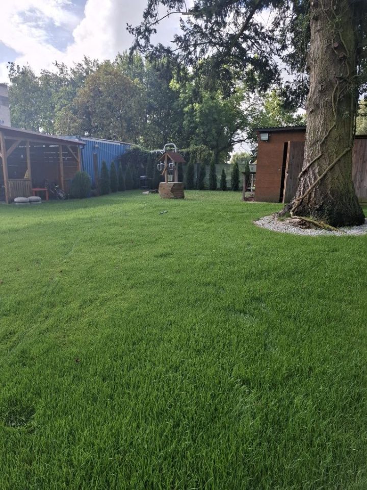 Działka rod Biedrusko. Zdjęcie 3