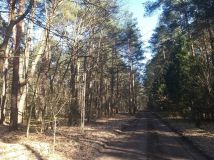 Działka rekreacyjna Osiedle Wilga. Zdjęcie 4